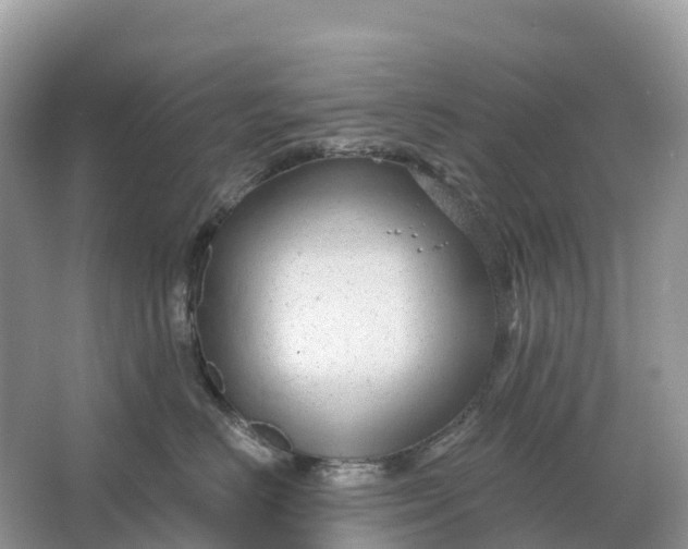 X0000064760670200602241917
