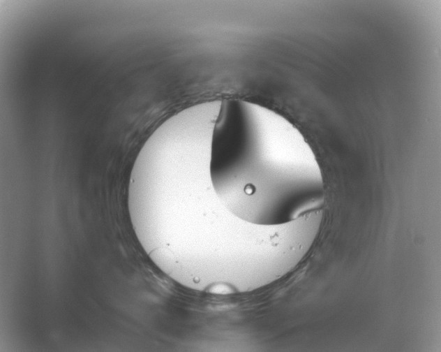 X0000064760672200602241917