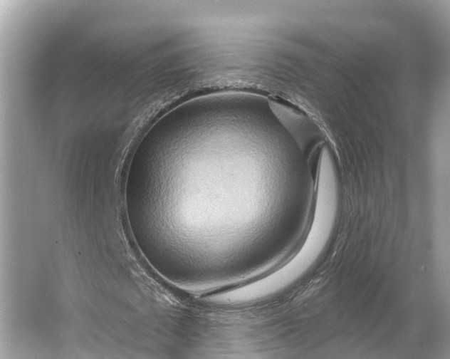 X0000064760673200602241916