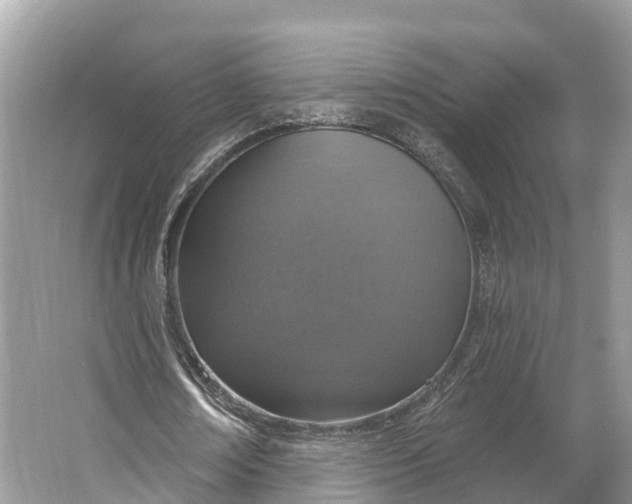 X0000064760674200602241916