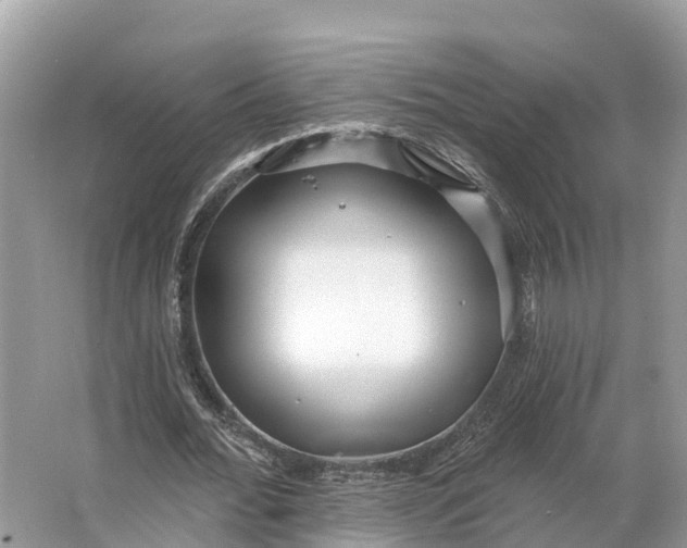 X0000064760676200602241916