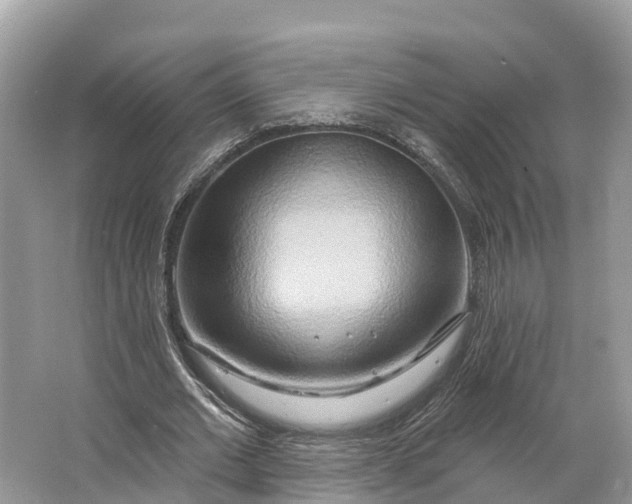 X0000064760677200602241916