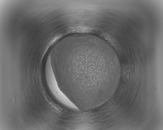 X0000064760679200602241916