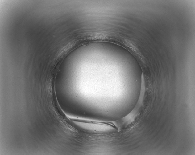 X0000064760681200602241916