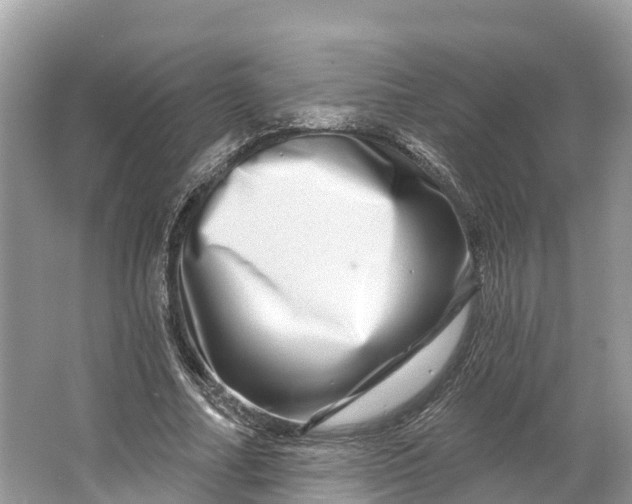X0000064760682200602241916