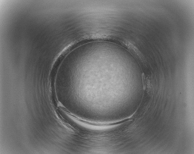 X0000064760684200602241916