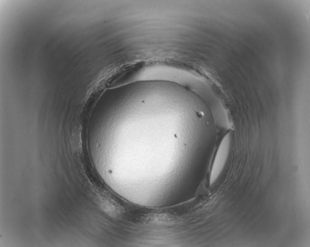 X0000064760685200602241915