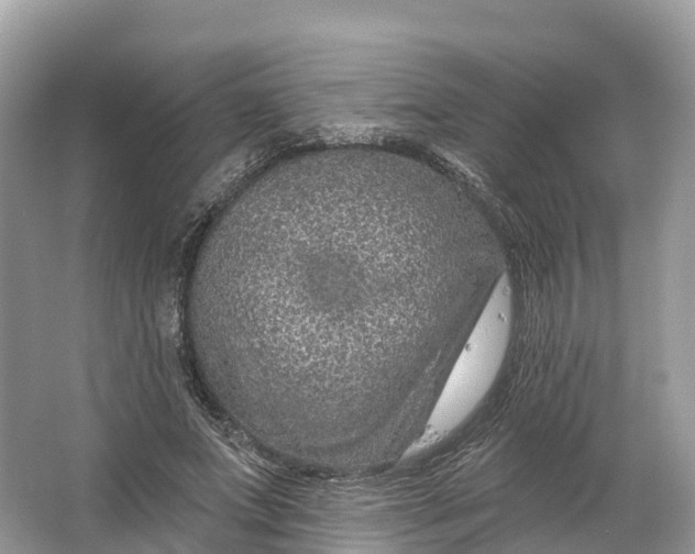 X0000064760687200602241915