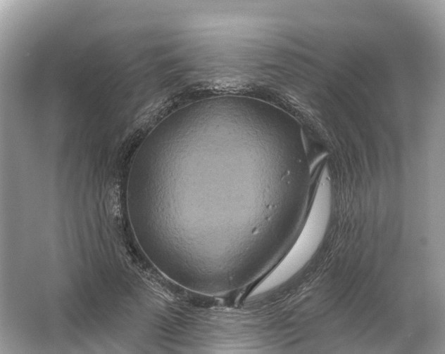 X0000064760689200602241915