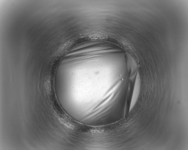 X0000064760690200602241915