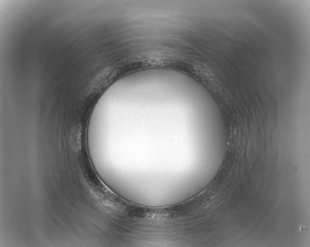 X0000064760694200602241915