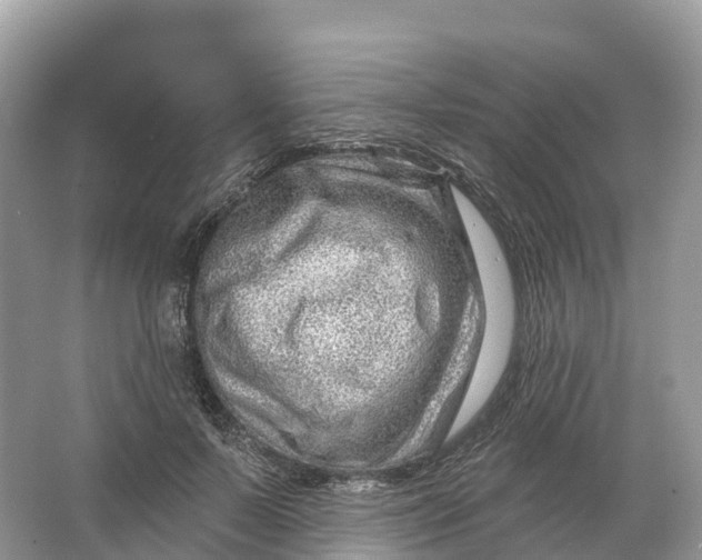 X0000064760695200602241915