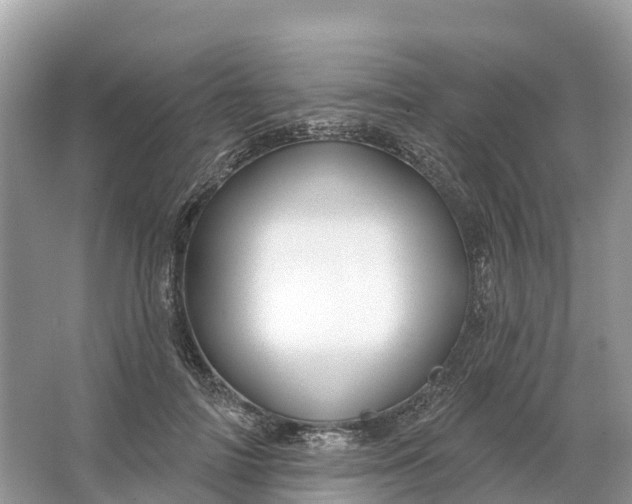 X0000064760698200602241915