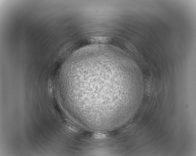 X0000064760701200602241915