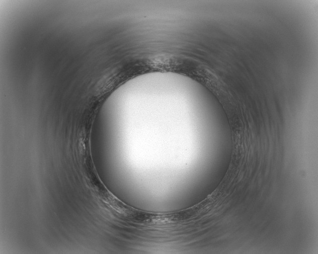 X0000064760702200602241915