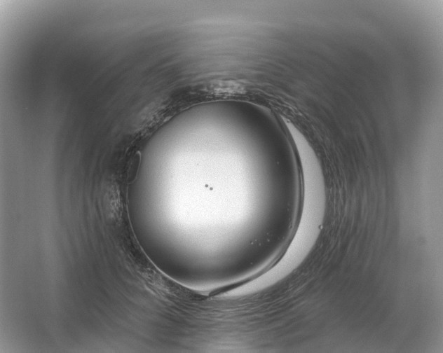 X0000064760704200602241915