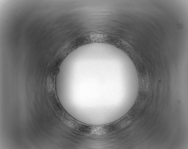 X0000064760705200602241915