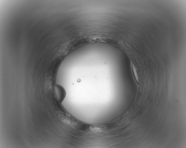 X0000064760706200602241915