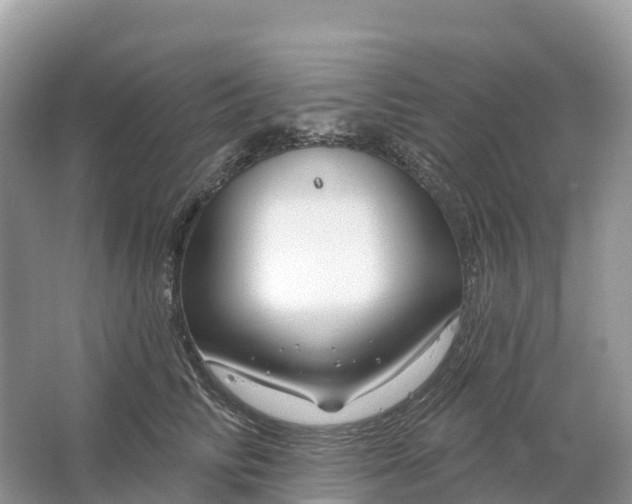 X0000064760710200602241915