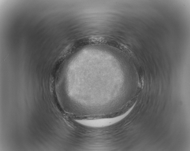 X0000064760712200602241915