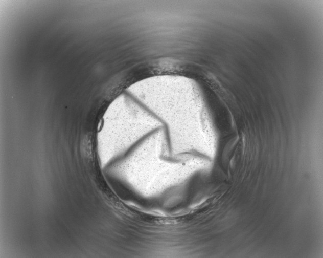X0000064760715200602241915