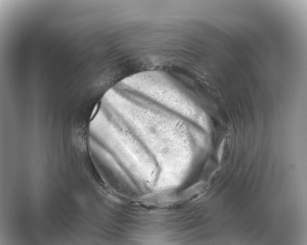 X0000064760719200602241915