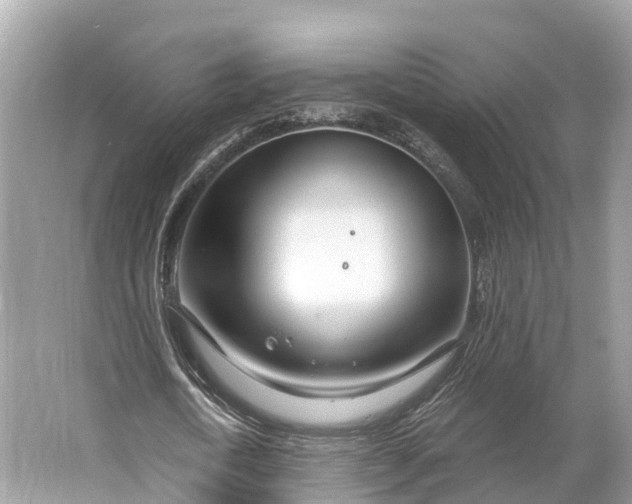 X0000064760722200602241913