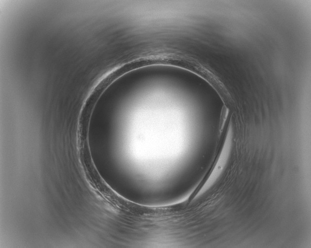 X0000064760724200602241913