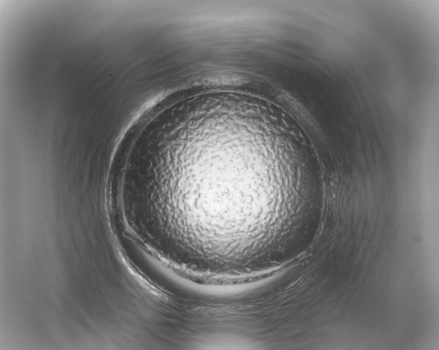 X0000064760726200602241913