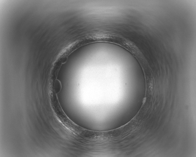 X0000064760732200602241914