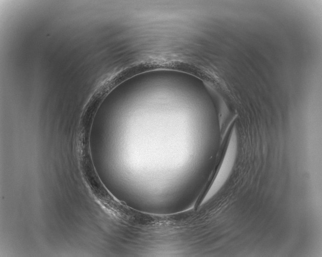 X0000064760736200602241914