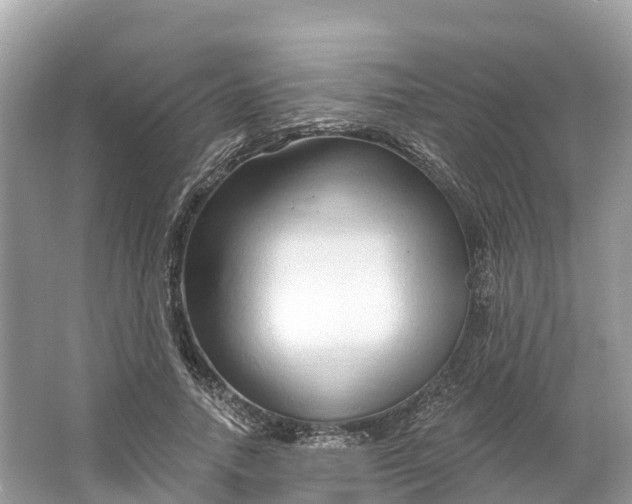 X0000064760738200602241914
