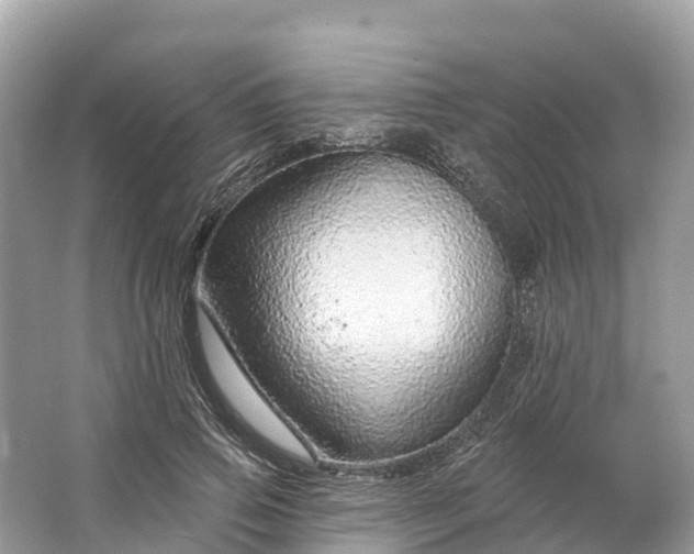 X0000064760741200602241914