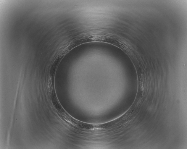 X0000064760748200602241914