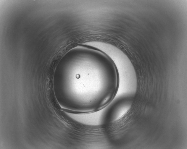 X0000064760750200602241914