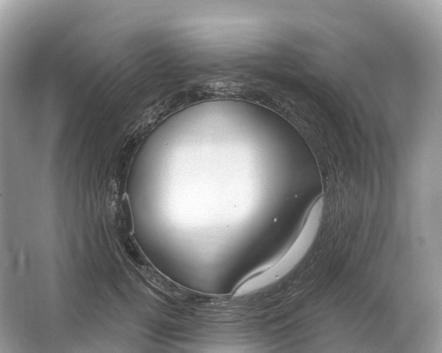 X0000064760752200602241914