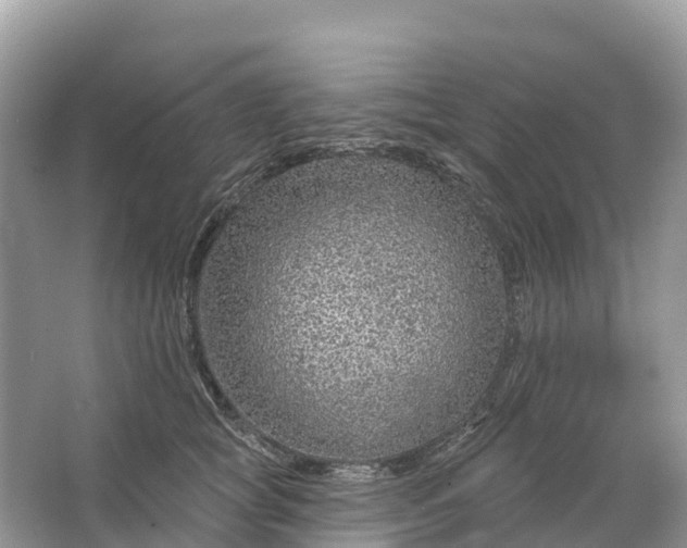 X0000064760757200602241914