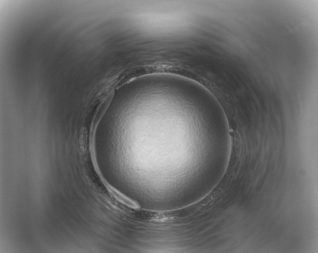 X0000064760760200602241914