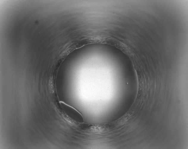 X0000064760764200602241914