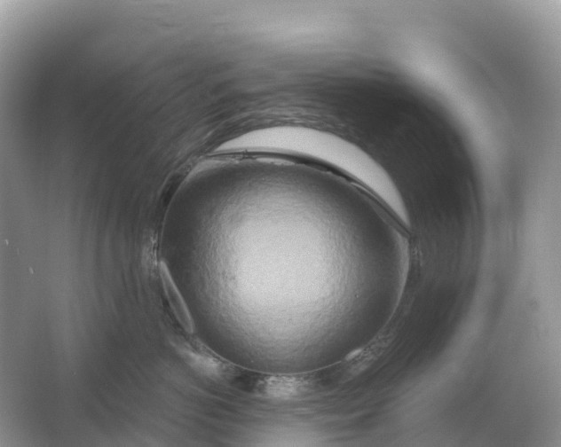 X0000064760766200602241915