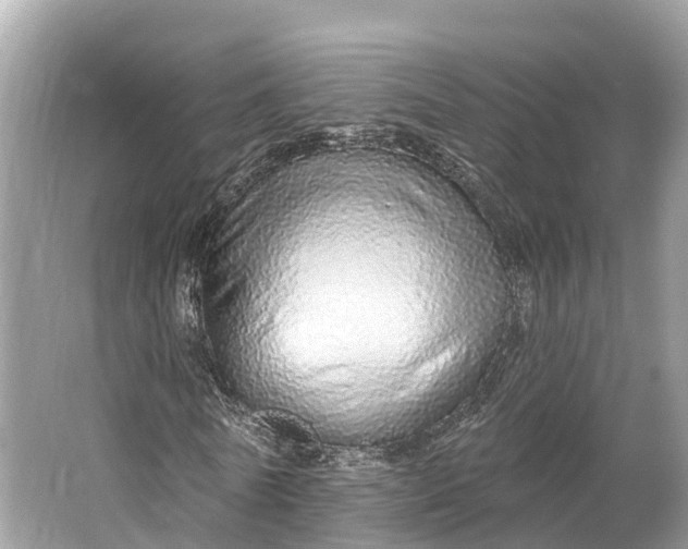 X0000064760770200602241913