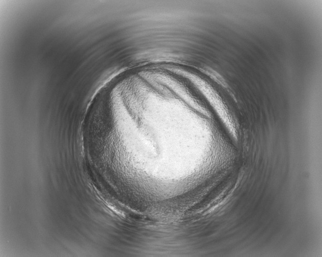 X0000064760782200602241913