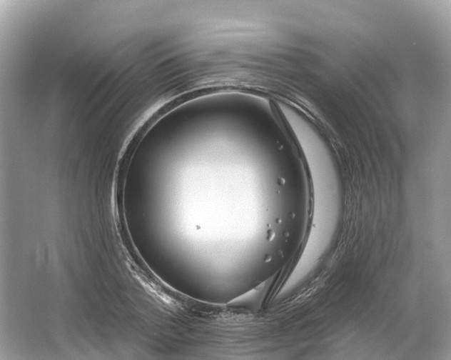 X0000064760788200602241913
