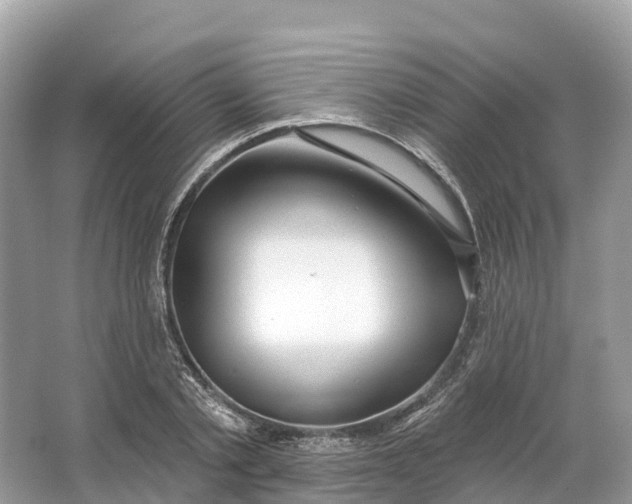 X0000064760789200602241913