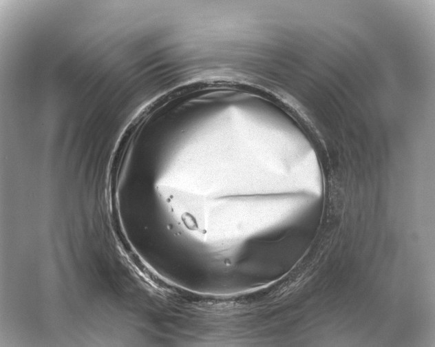 X0000064760791200602241913