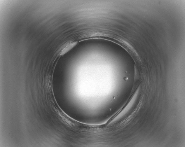 X0000064760793200602241913