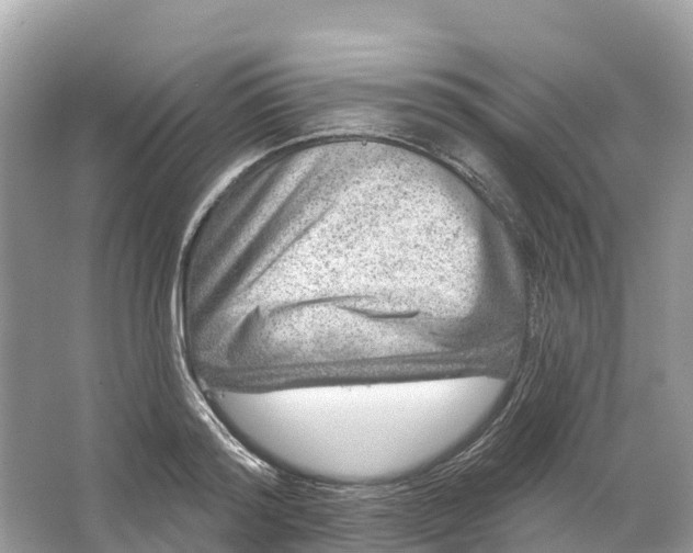 X0000064760796200602241913