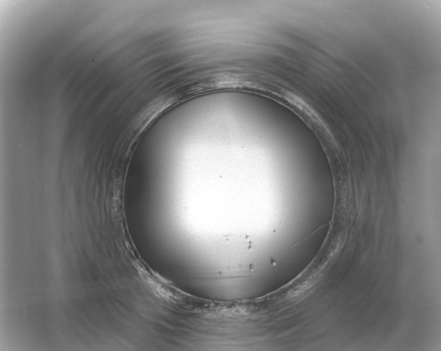 X0000064760801200602241913