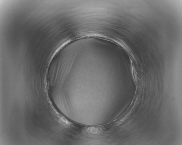 X0000064760806200602241912