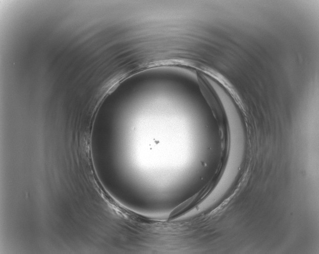 X0000064760809200602241912